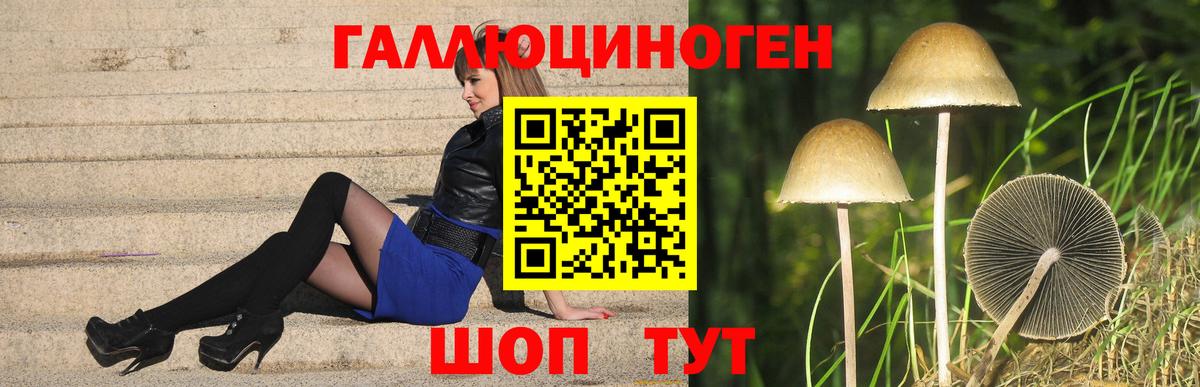 Галлюциногенные грибы GOLDEN TEACHER  Галлюциногенные грибы Psilocybine cubensis  Тула  Вход с VPN 